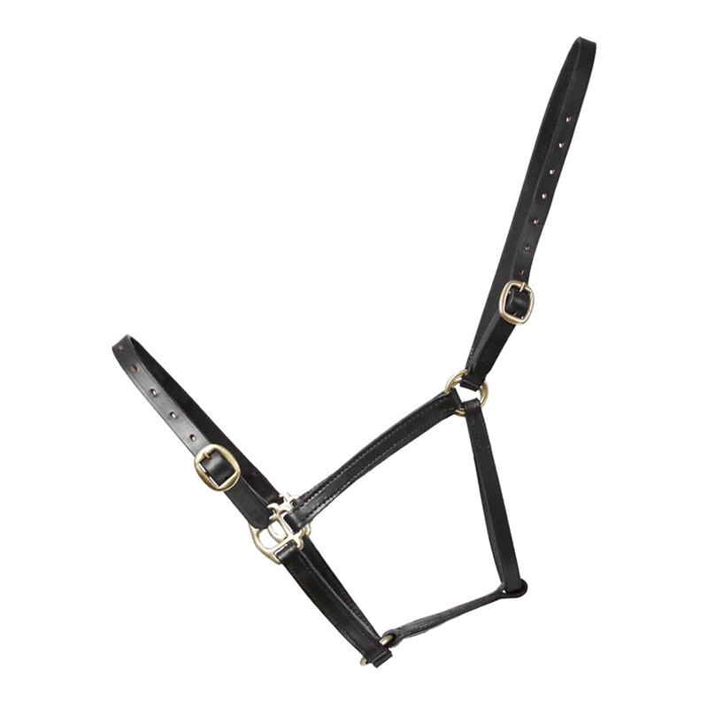 Hy Equestrian Leather Foal Headcollar - Black